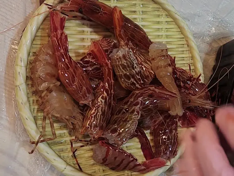 싱싱한 독도새우