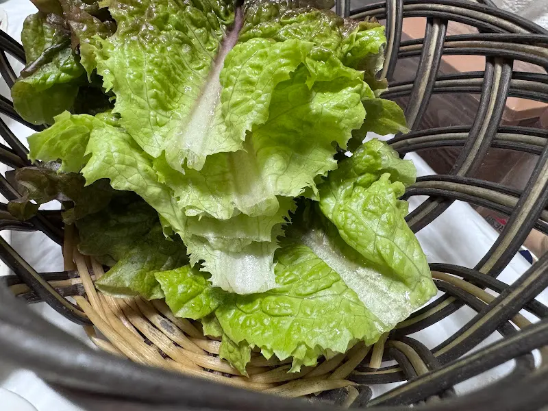 싱싱한 상추 바구니