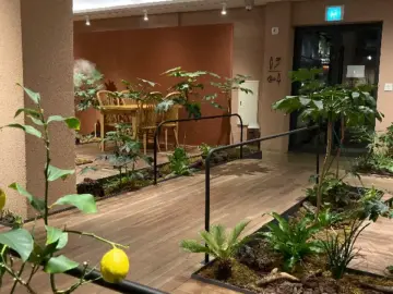 봉선동 숨은 보석, 레구르에서 만난 인생 브런치! 광주 맛집 인정!