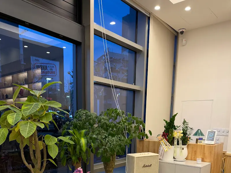 싱그러운 분위기의 스시이연 내부