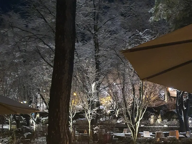 밤이 되니 조명이 켜진 정원이 더욱 아름답다