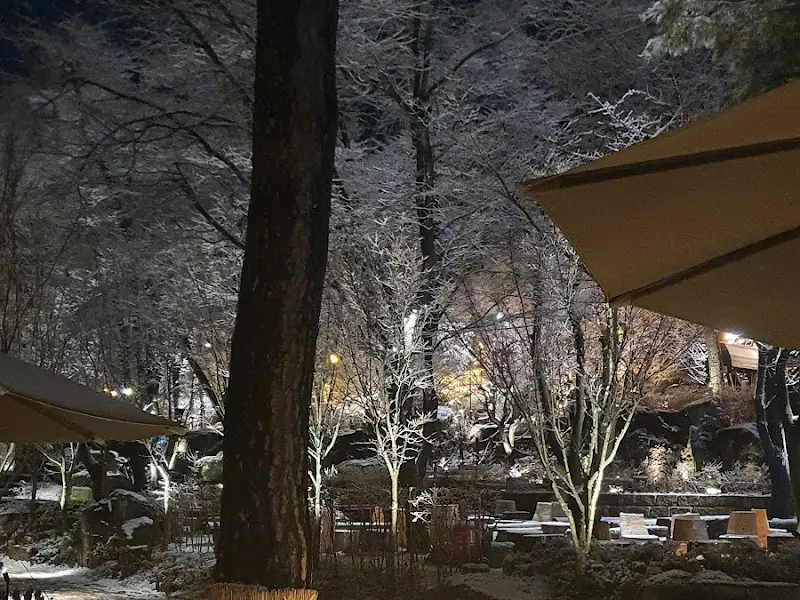 강강술래 늘봄농원점 야경