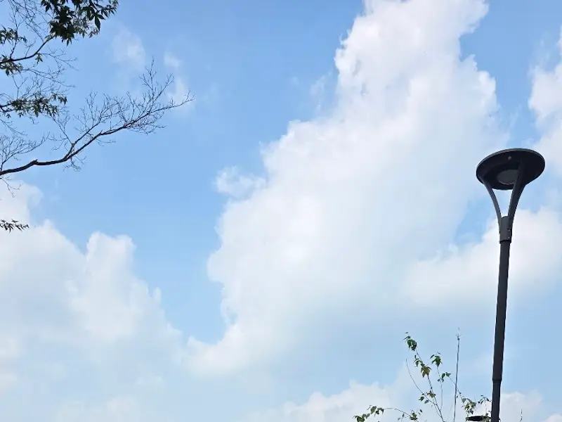 푸른 하늘과 조명