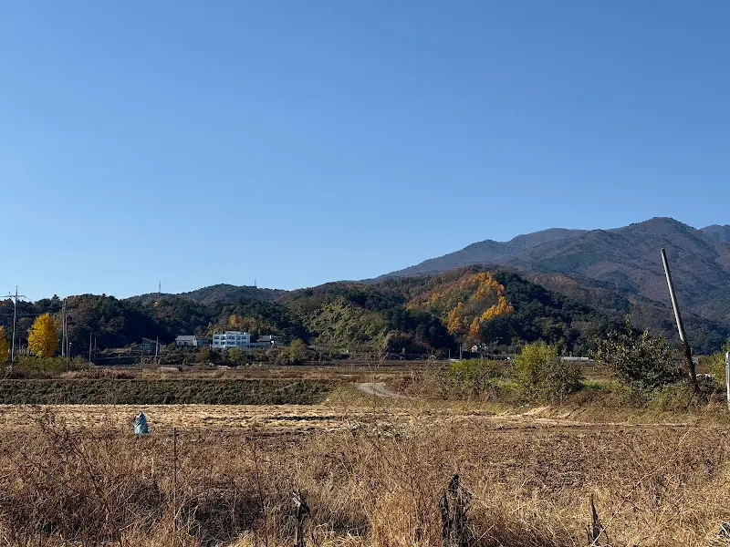 메밀국수와 수육 한 상