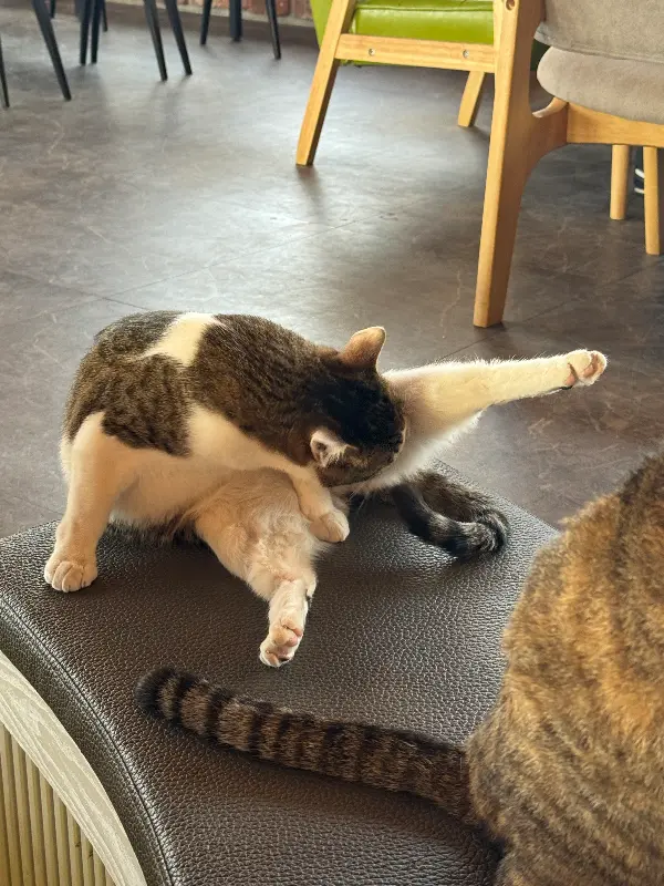 카페 외부 풍경