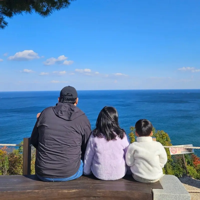 깔끔하게 정돈된 밑반찬