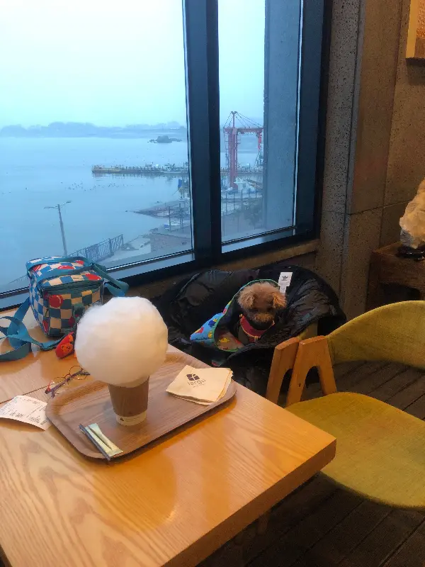 구름 라떼와 바다 풍경