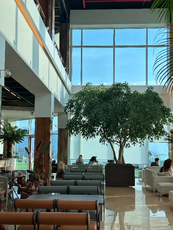 카페 내부의 테이블과 의자, 통창으로 보이는 바다