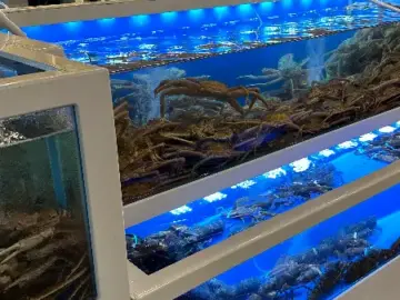 케이블카 뷰에 넉넉한 인심, 사천에서 맛보는 푸짐한 대게 한 상 맛집