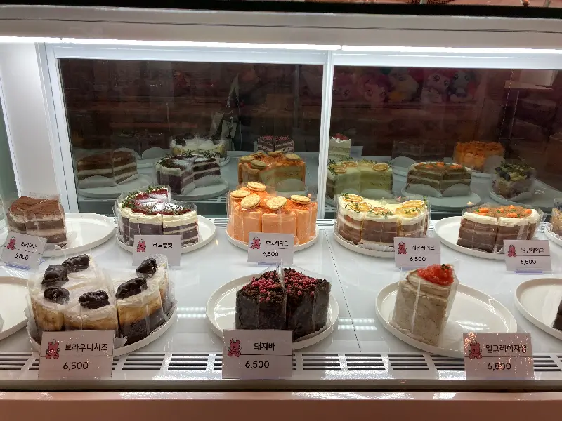 다양한 종류의 케이크 쇼케이스