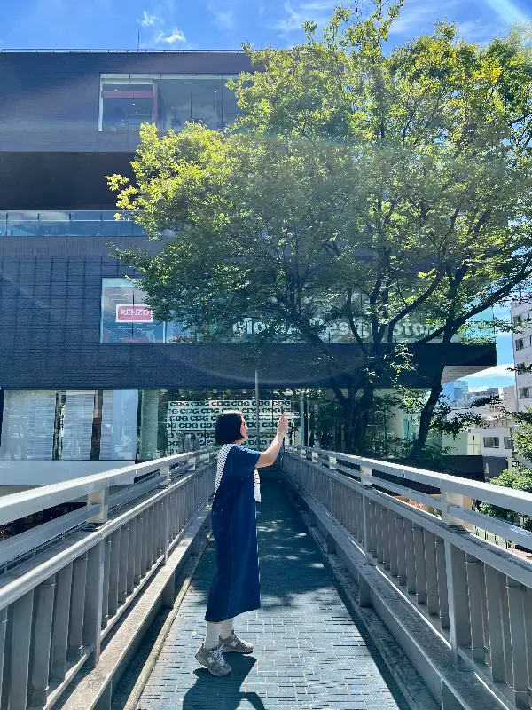 혼밥도 문제없는 분위기