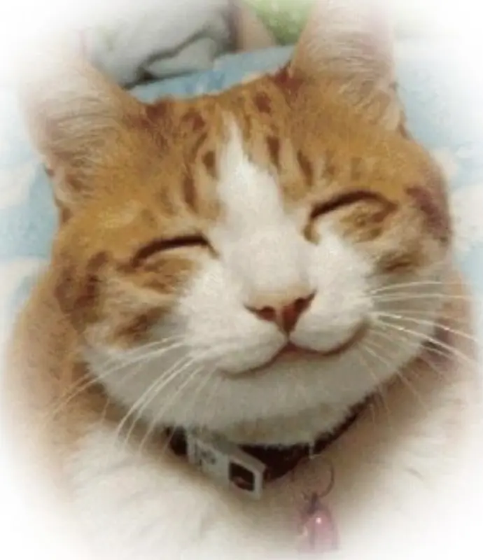 깔끔한 매장 내부