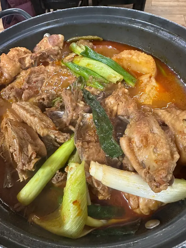 닭볶음탕과 대파