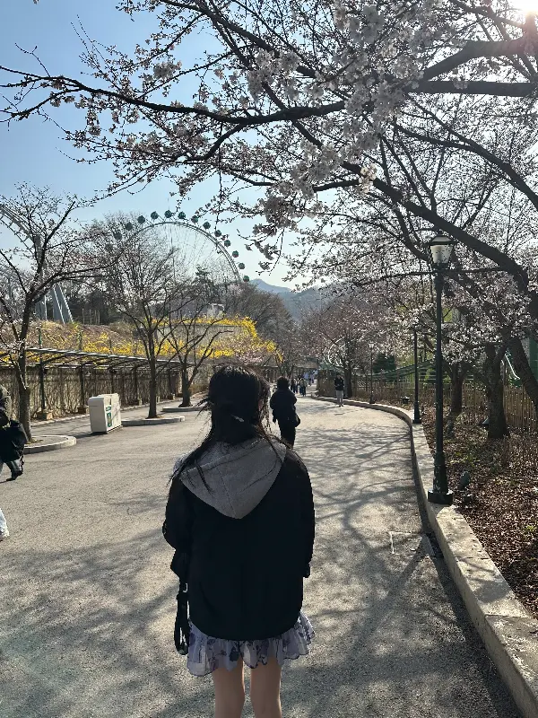 얼큰한 국물이 매력적인 짬뽕