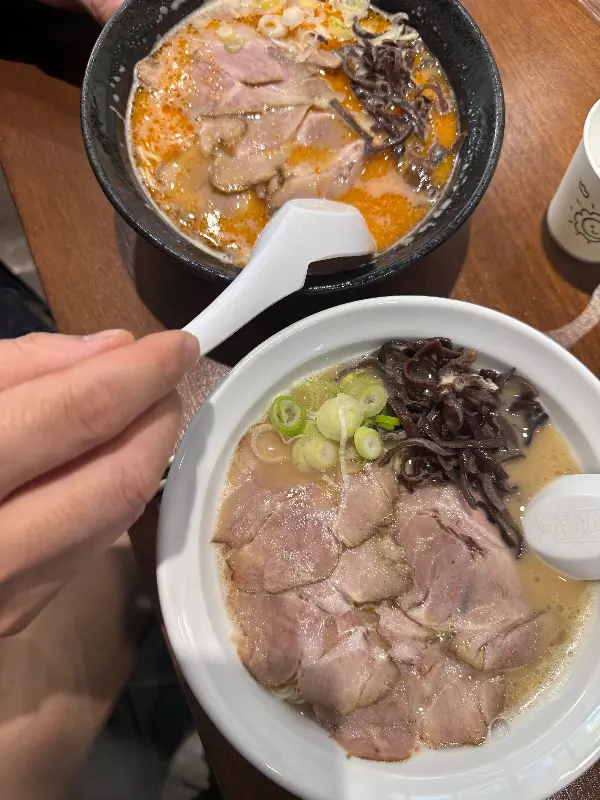 돈코츠 라멘과 매운 돈코츠 라멘