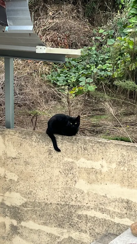 4월 8일 주변 풍경