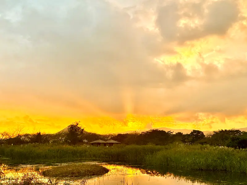 진천의 아름다운 노을