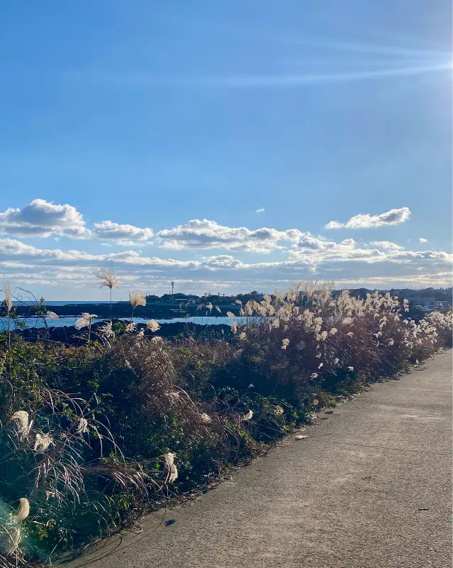 지환이네에서 바라본 아름다운 제주 바다