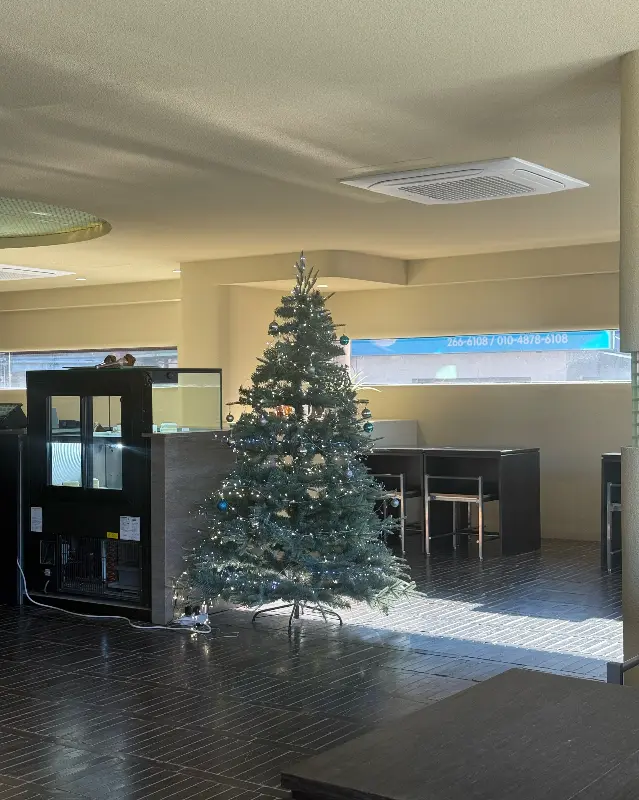 카페 내부 크리스마스 트리