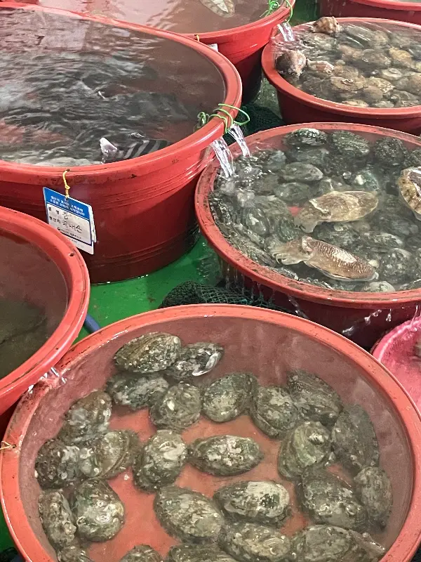 수조 안 가득한 해산물