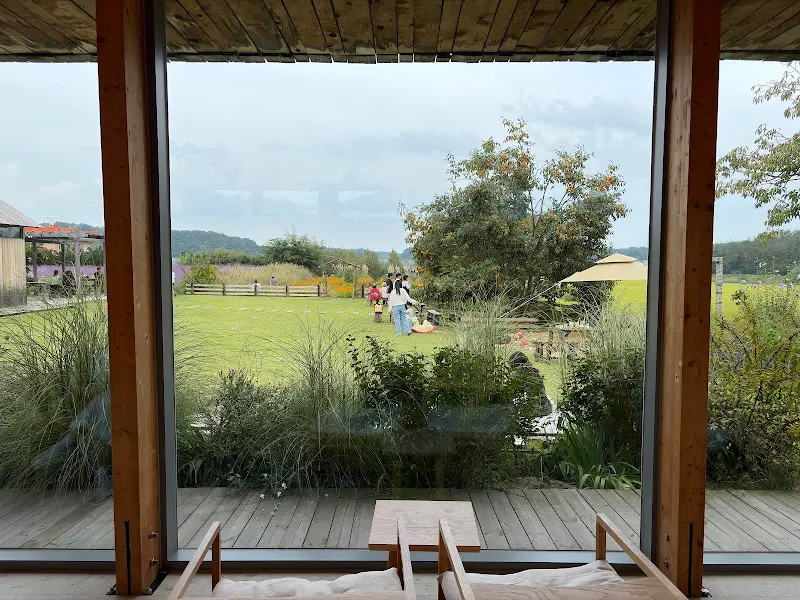 통유리창을 통해 보이는 정원의 모습