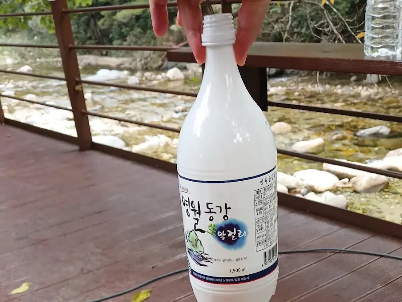 영월 동강 막걸리