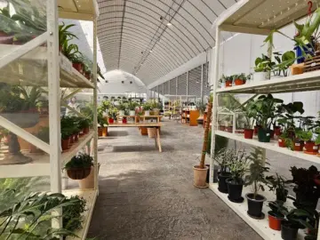 기흥의 푸르름이 가득한, 힐링 맛집 어반리프에서 즐기는 식물원 지역명 브런치