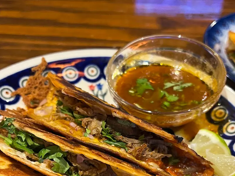 비리아 타코 근접샷