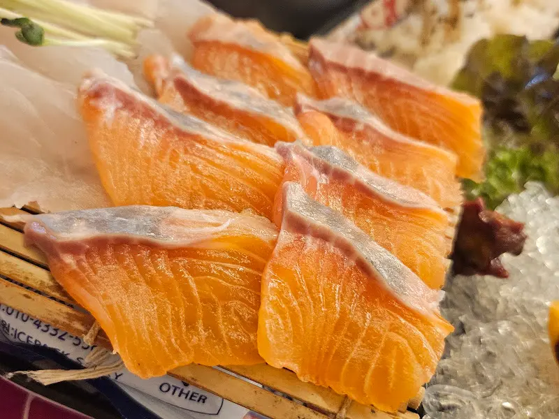 싱싱한 연어 사시미