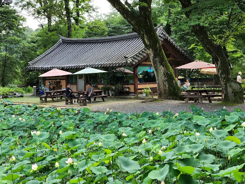 연못과 함께 보이는 세심다원