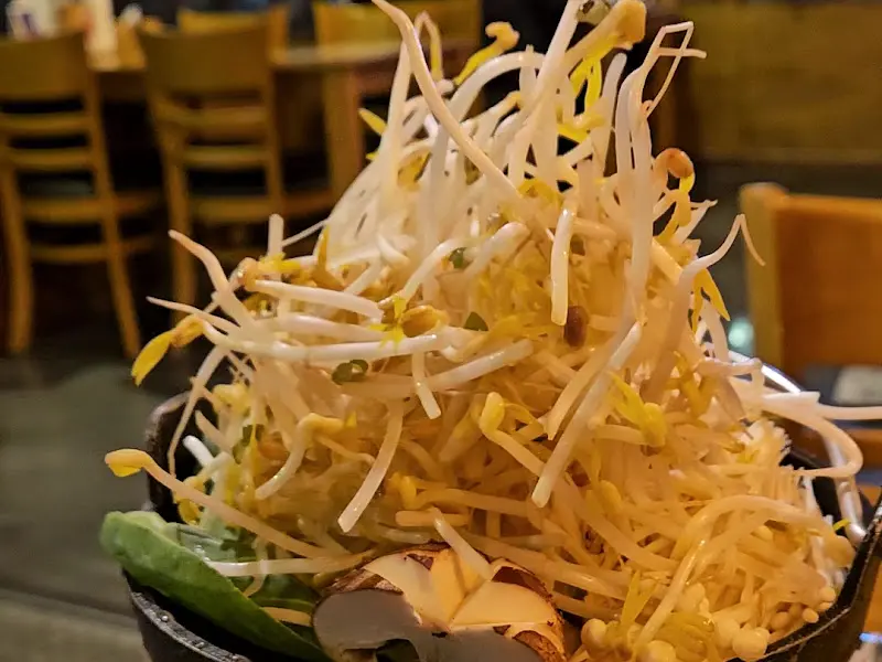 접시 가득 담긴 숙주나물의 모습