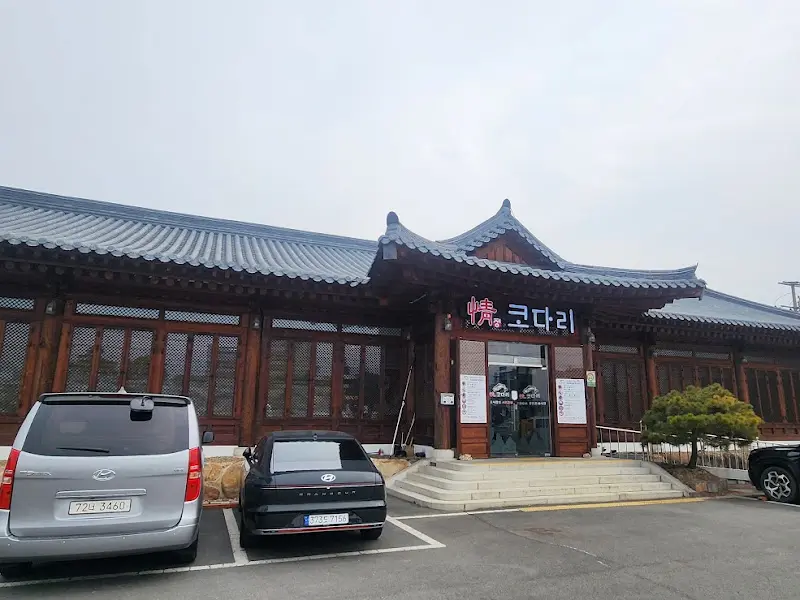 정코다리 외관2