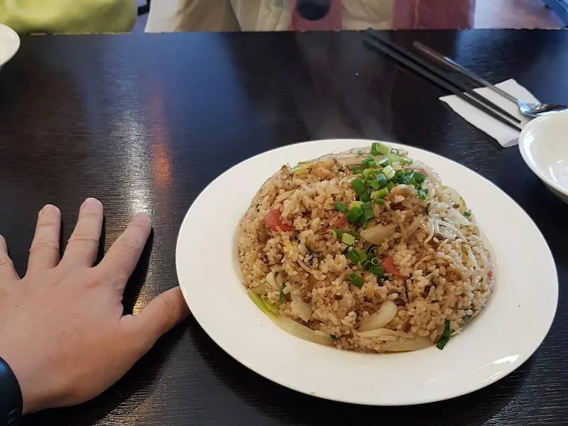 볶음밥과 손 크기 비교