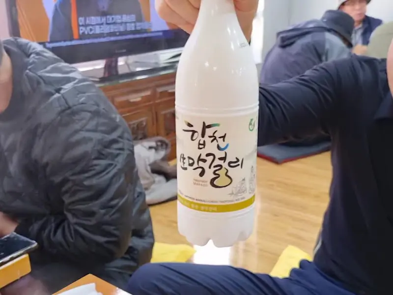 합천 막걸리