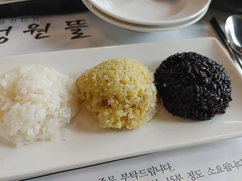 세 가지 밥 종류