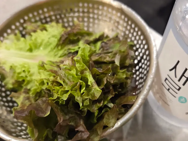 싱싱한 쌈 채소