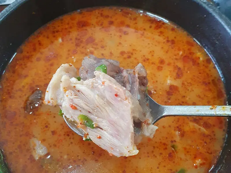 숟가락 위의 머릿고기