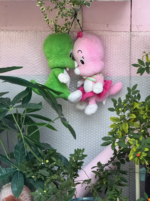 귀여운 두꺼비 인형 장식