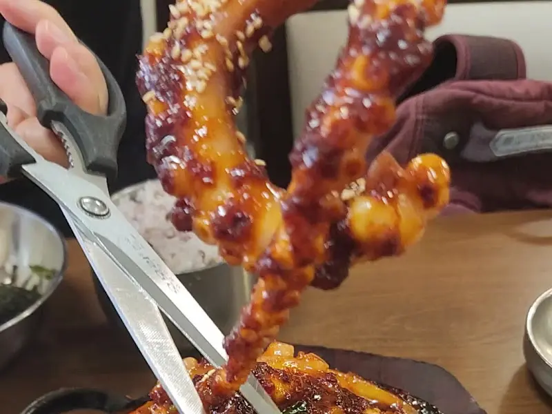 가위로 자른 낙지