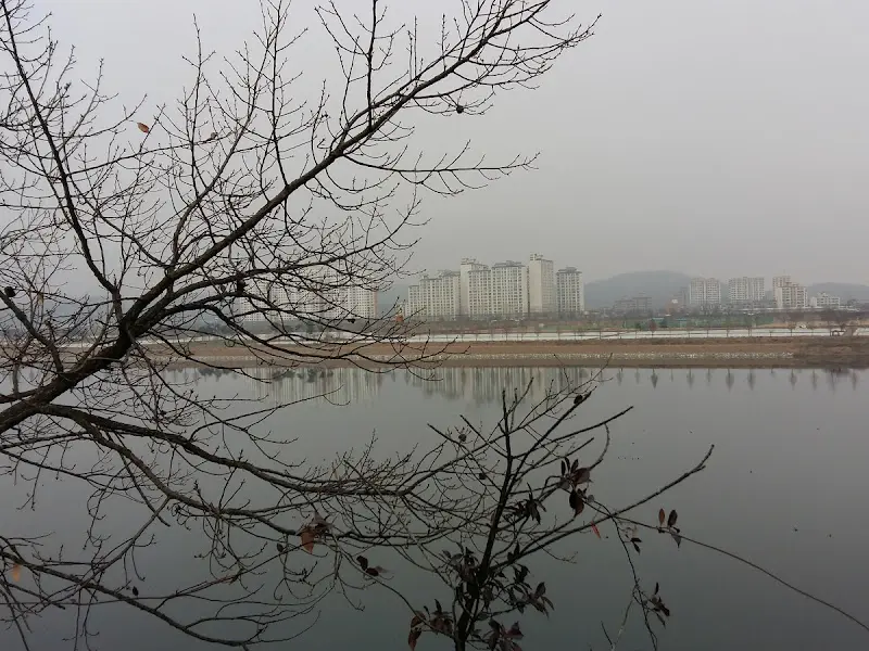 다양한 각도에서 촬영한 보리밥