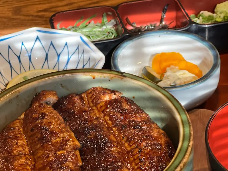 윤기가 흐르는 히츠마부시의 장어