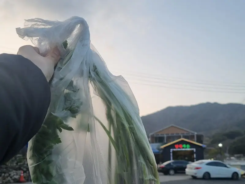 포장해온 미나리