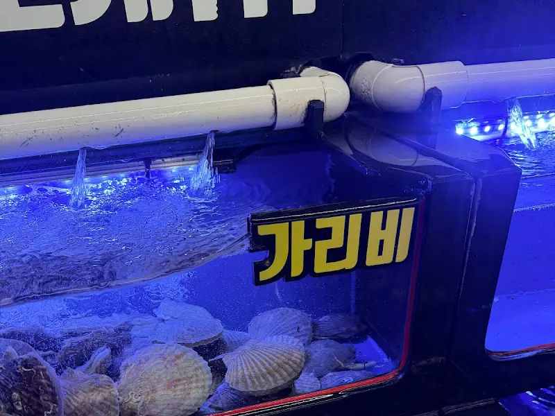 수조 속 가리비