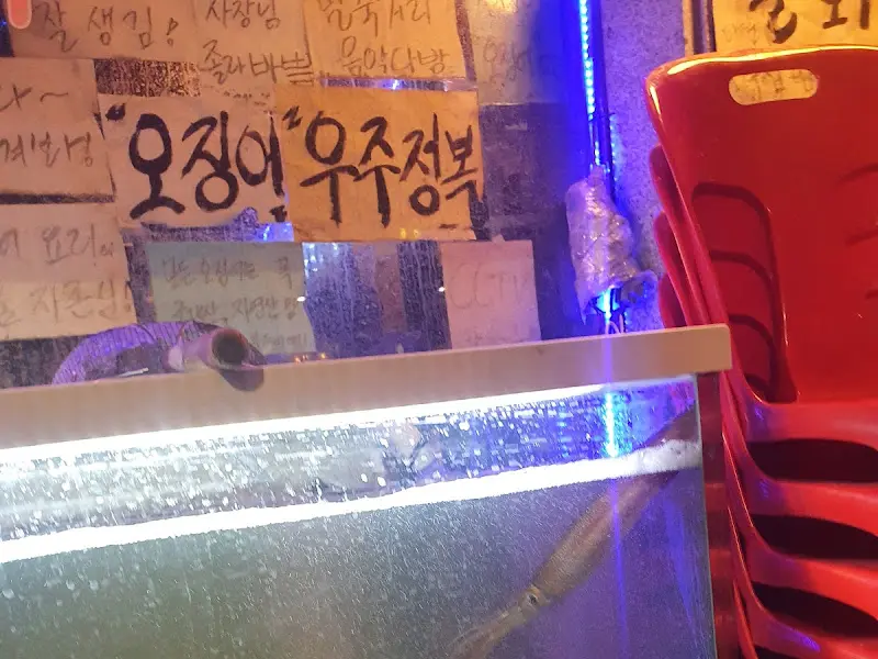 오징어 우주정복