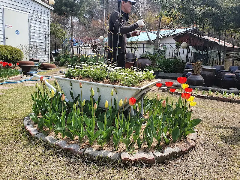 정원의 아름다움