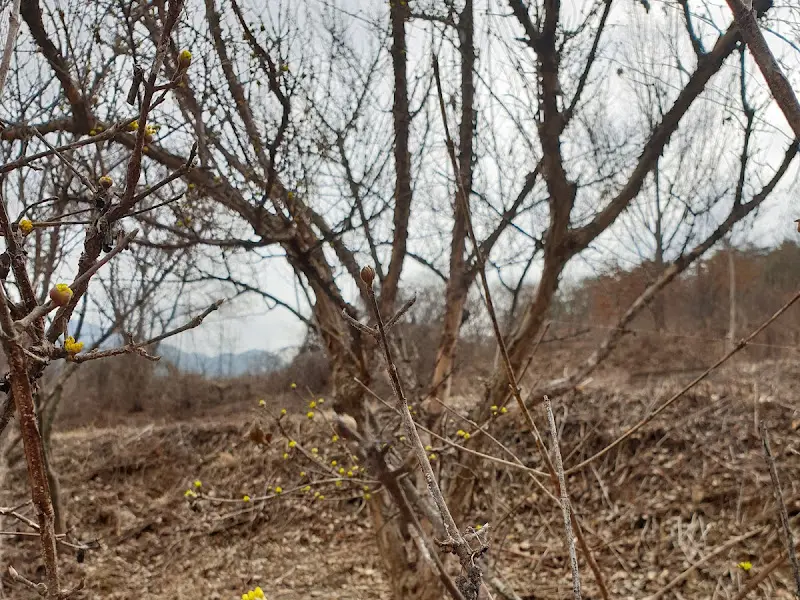 산막이 옛길 풍경