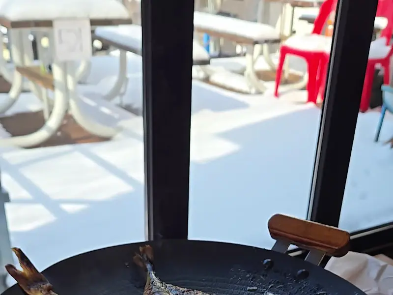 겨울의 장흥폭포수