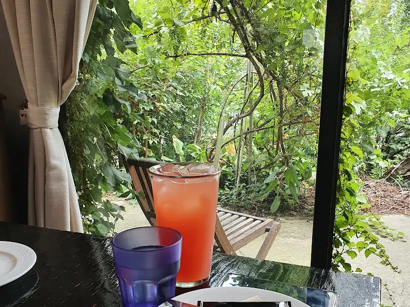 러스틱하우스 창밖 풍경과 음료