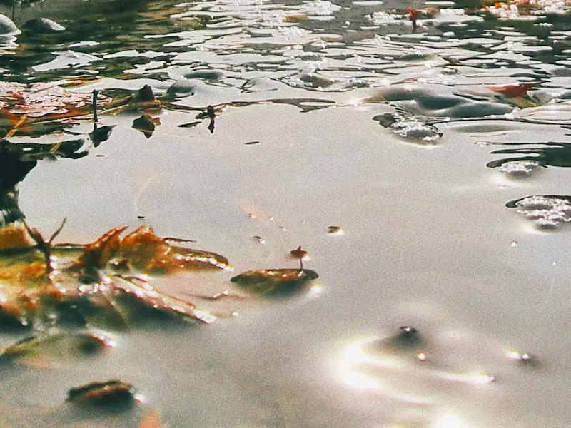 잔잔한 물결 사진