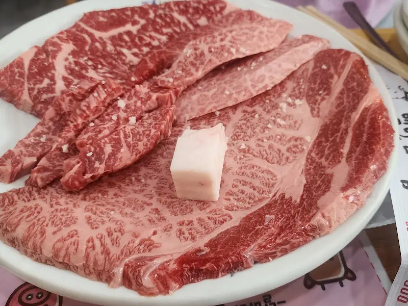 특모듬 한 상 차림